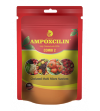 Shamrock Ampoxcilin - Combi 2 Chelated Multi Micronutrient 250 grams